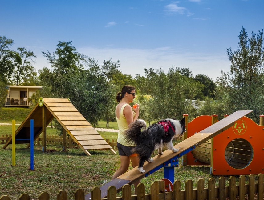 Parco per cani presso Aminess Planet Camping Maravea, Novigrad