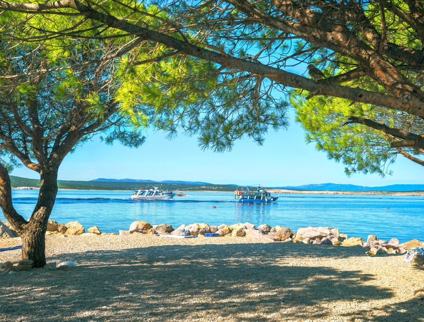 Pine-shaded beach overlooking calm blue waters in Crikvenica, Croatia.