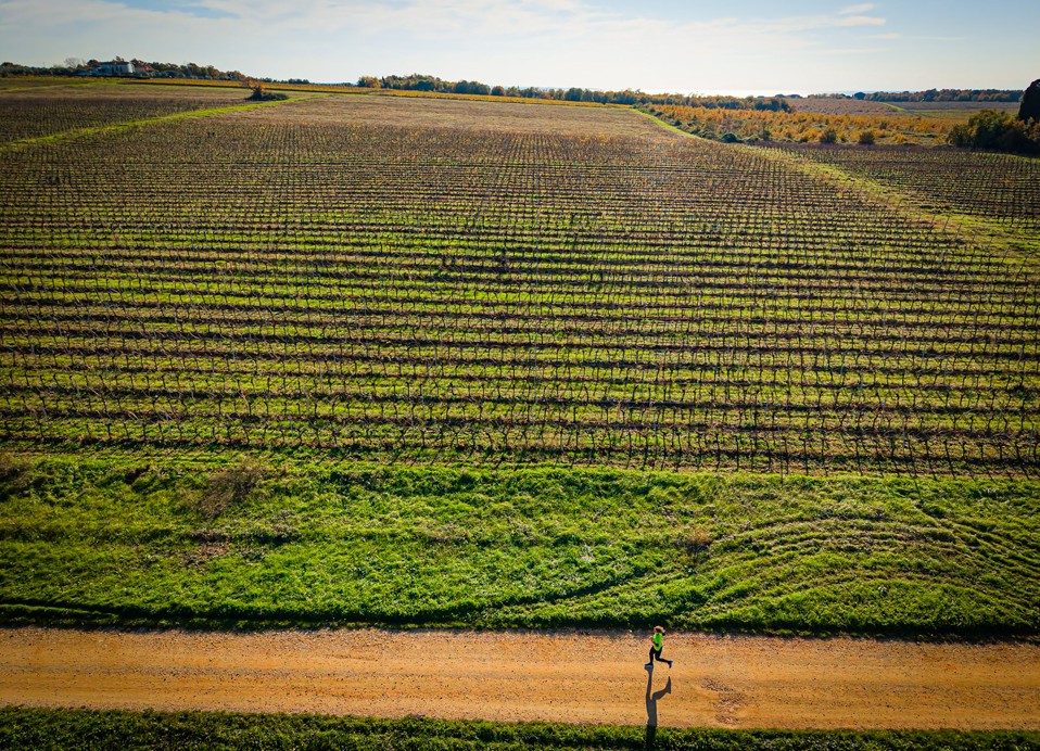 A women running through a wineyard near the Aminess Planet Camping Maravea, Novigrad