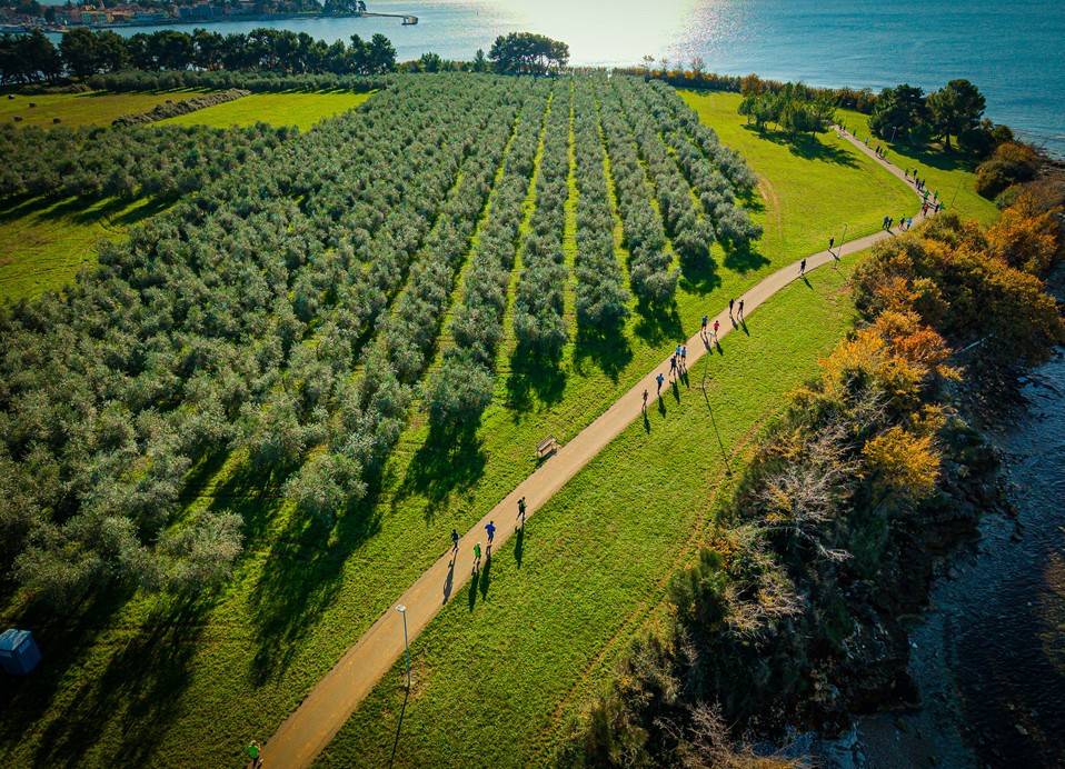 A group of runners running next to an olivetto at the Aminess Planet Camping Maravea, Novigrad
