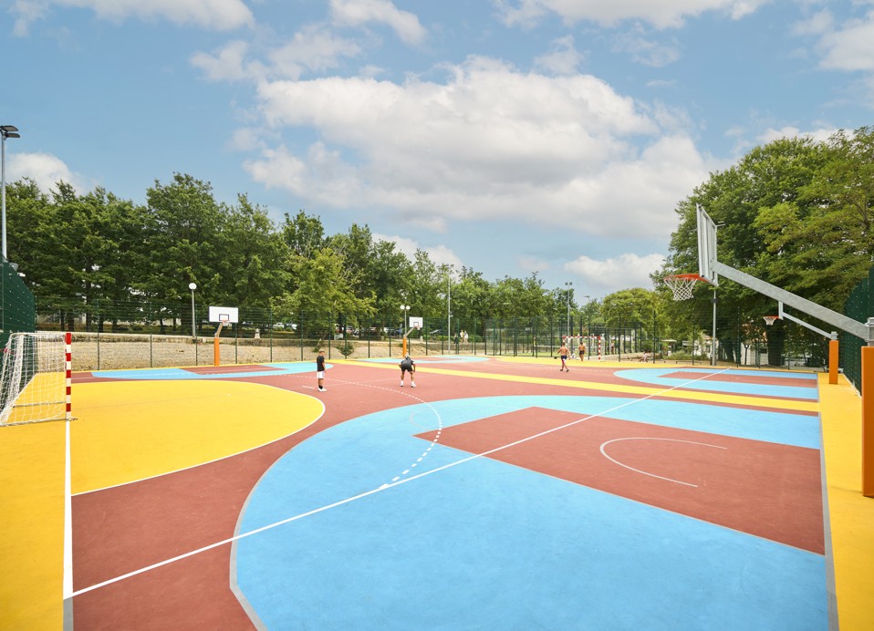 Kleurrijk multifunctioneel buitensportveld met basketbalringen, omgeven door bomen en hekwerk.