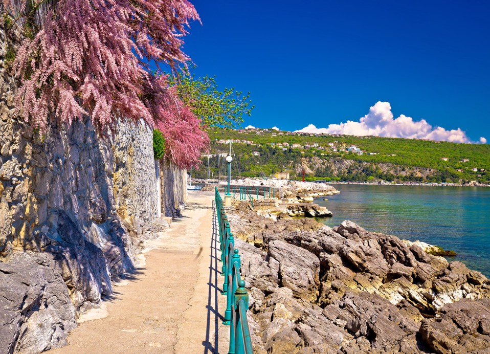 Lungomare promenade along the rocks and sea beneath a blossoming tree