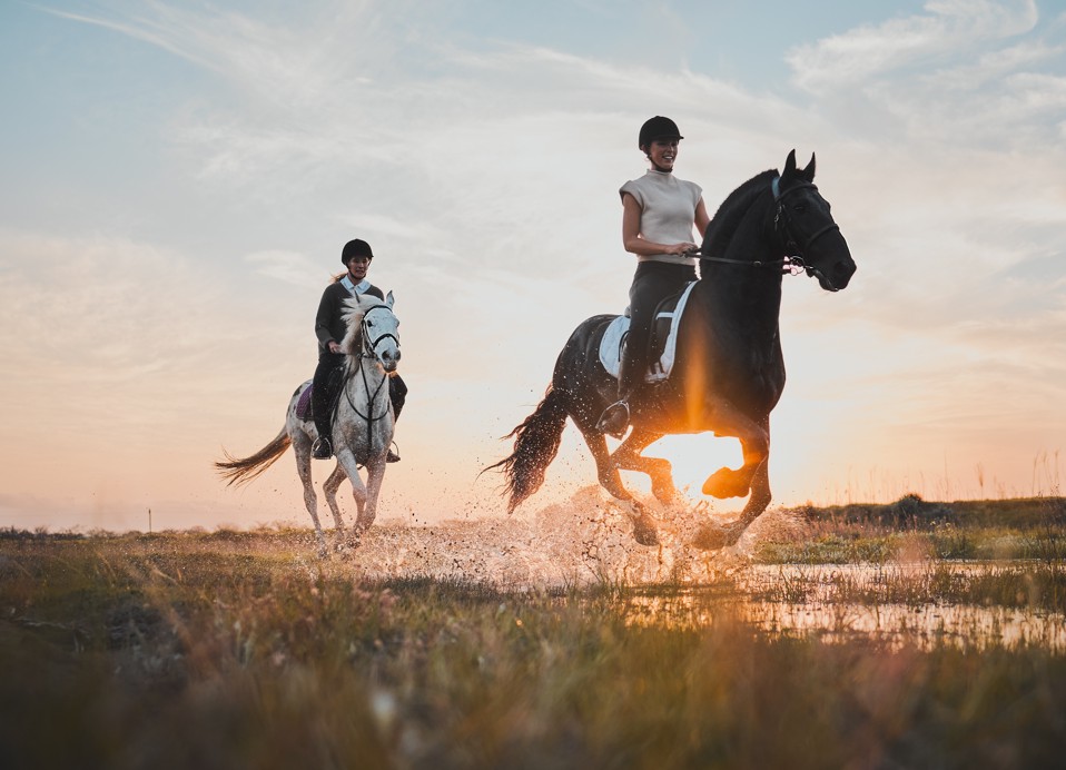 Reiten bei Sonnenuntergang im Aminess Atea Resort