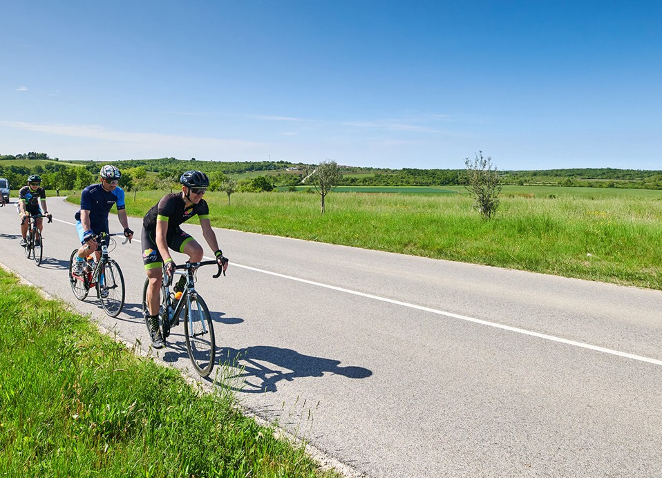 Groep fietsers rijdt op het platteland naast Aminess Planet Camping Maravea Resort, Novigrad Kroatië