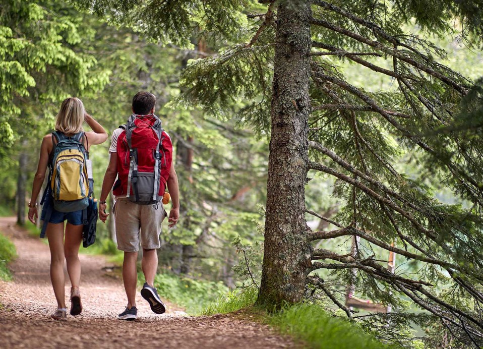 Paar wandert durch einen ruhigen Wald in der Nähe des Aminess Vival Lišanj Family Hotels.