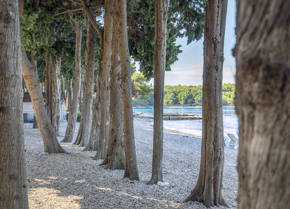 Prodnata plaža obdana z borovci v Aminess Vival Velaris Resort na otoku Brač – popolno mesto za sprostitev v senci ob Jadranskem morju.