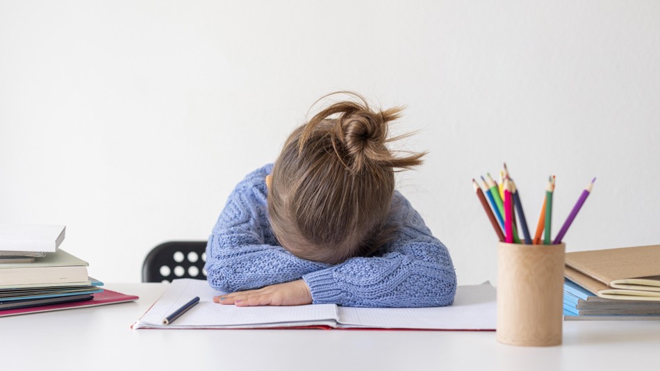 "Back to School": Razgovor s profesoricom prim. dr. sc. Katarinom Dodig-Ćurković o izazovima suvremenog obrazovanja i dječjeg odrastanja