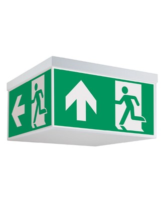 RZL_ZIBAL_Hauptseite