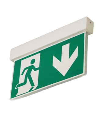 RZL_ANTARES_Hauptseite