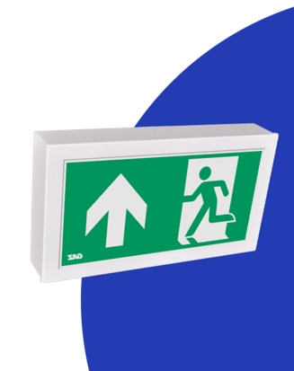 RZL_ALGOL_Hauptseite