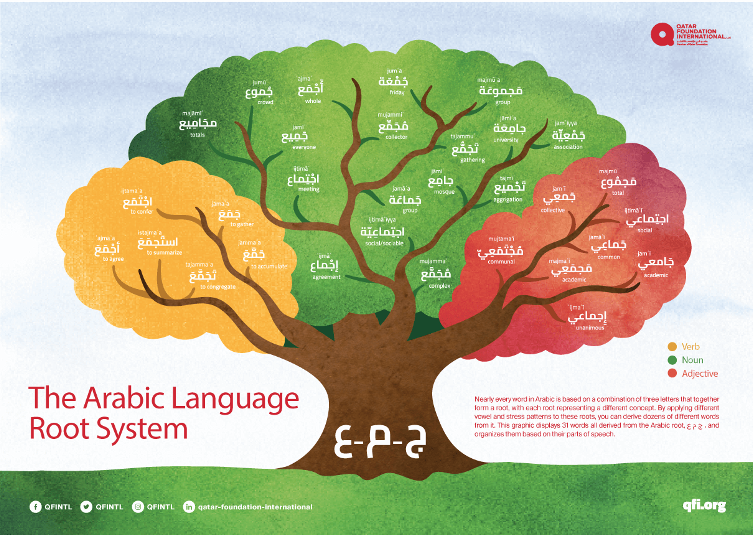 The Arabic Language Root System