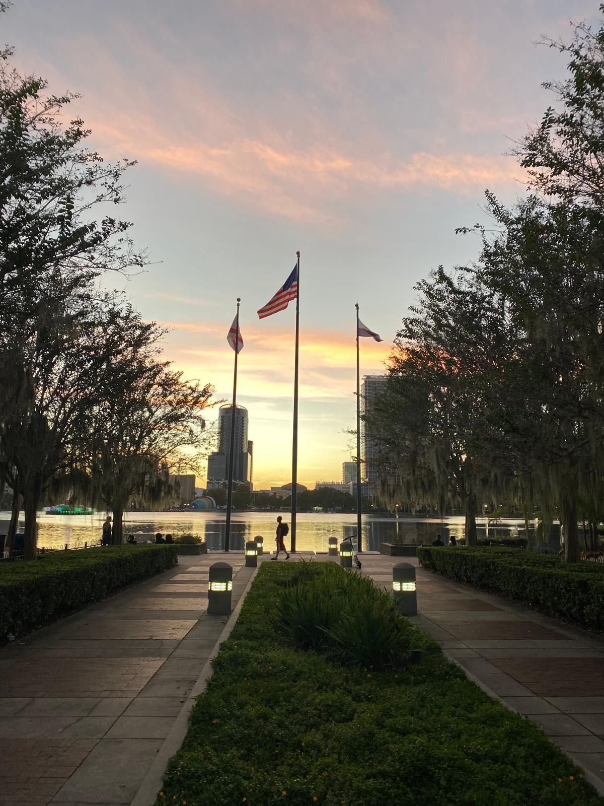 WhatsApp Image 2025-12-03 at 16.29.08