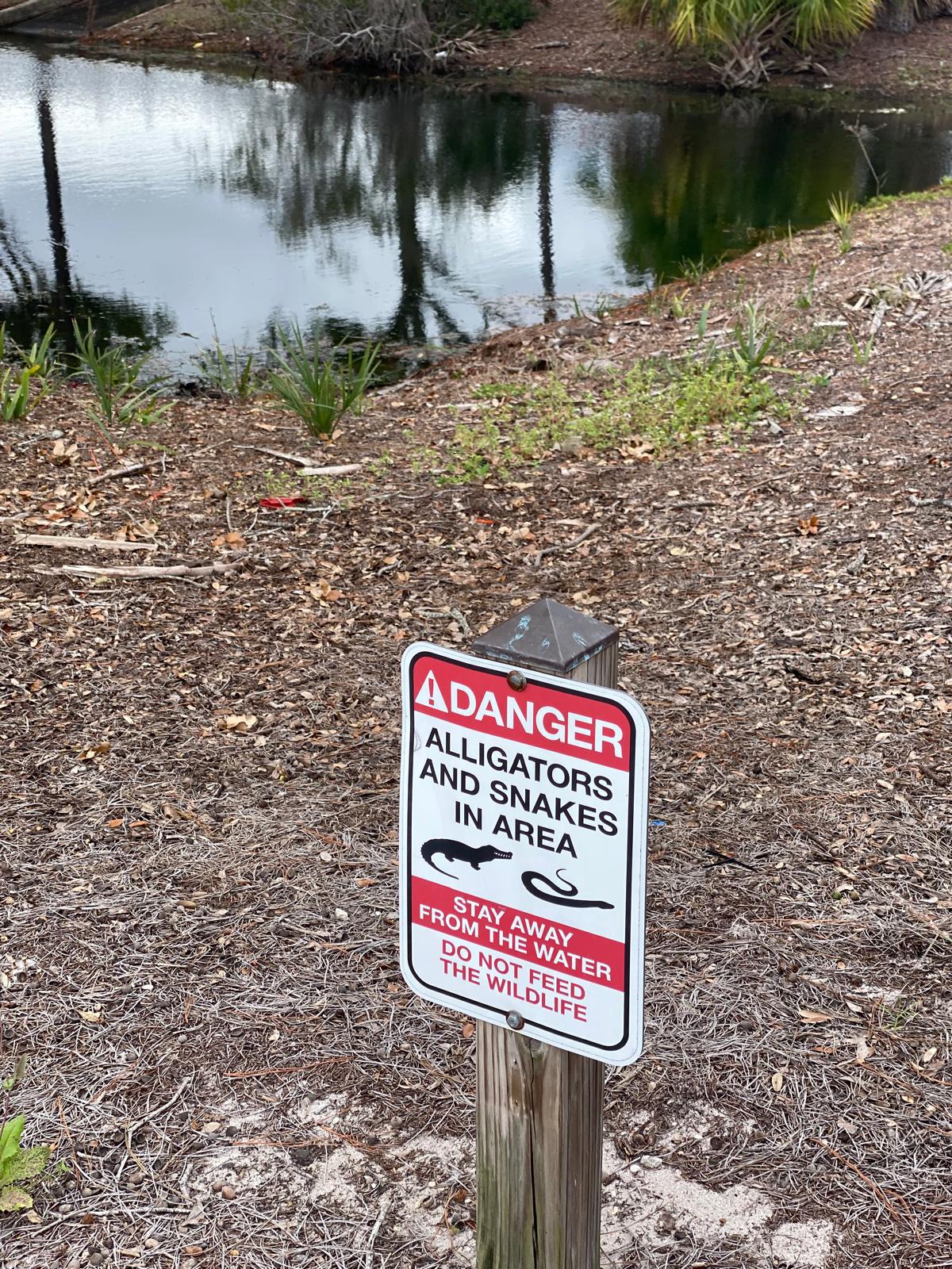 WhatsApp Image 2025-12-03 at 16.29.46