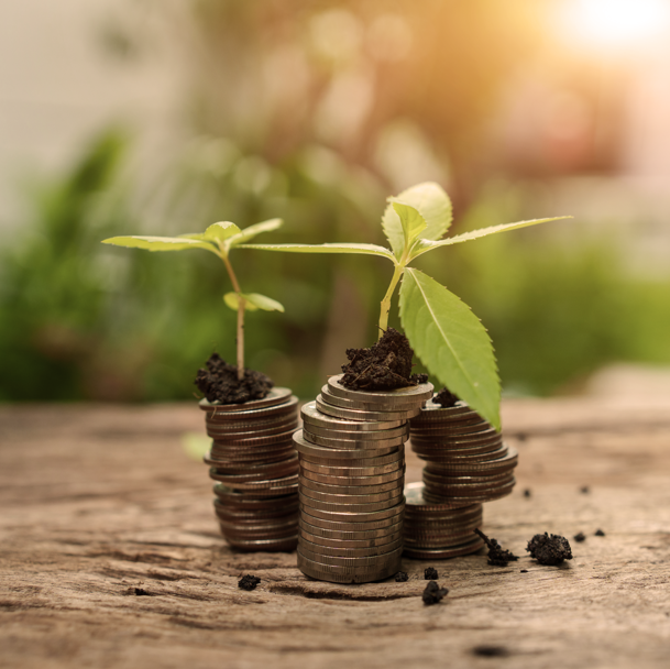 Bild_Impact_Investing_Orange