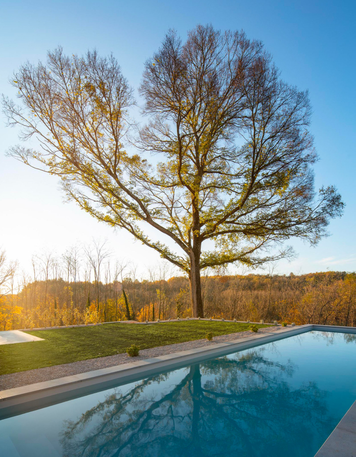 An oak tree reflected in the heated outdoor pool