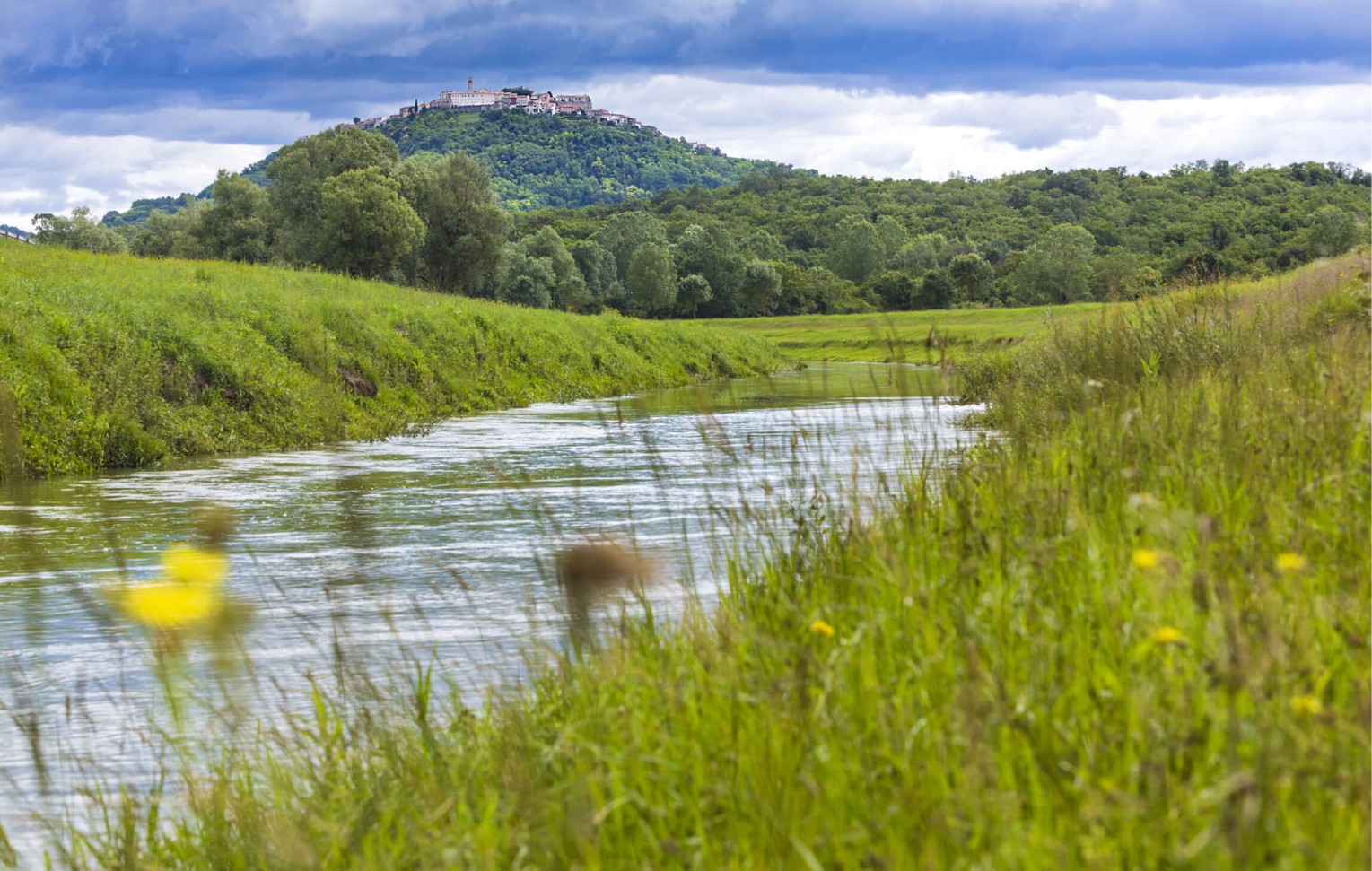 Peaceful river surrounded by nature with the village of Motovun perched on a hill in the background